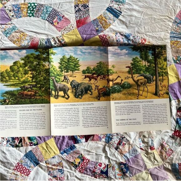 Vintage Hardcover 1956 The World We Live In: Special Edition for Young Readers - Picture 2 of 10